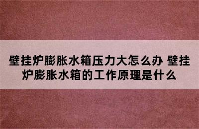 壁挂炉膨胀水箱压力大怎么办 壁挂炉膨胀水箱的工作原理是什么